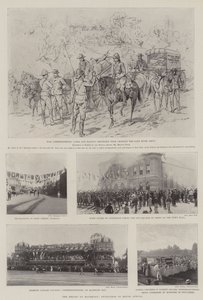 The War in South Africa